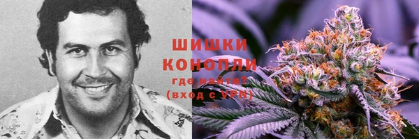 гидра Алексеевка