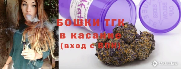 ГАЛЛЮЦИНОГЕННЫЕ ГРИБЫ Абаза