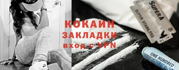 ГАЛЛЮЦИНОГЕННЫЕ ГРИБЫ Абаза